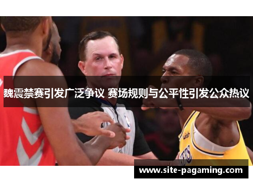 魏震禁赛引发广泛争议 赛场规则与公平性引发公众热议 魏震禁赛引发广泛争议 赛场规则与公平性引发公众热议