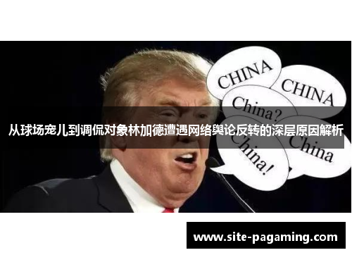 从球场宠儿到调侃对象林加德遭遇网络舆论反转的深层原因解析