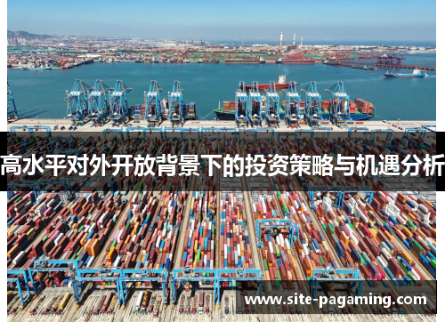 高水平对外开放背景下的投资策略与机遇分析