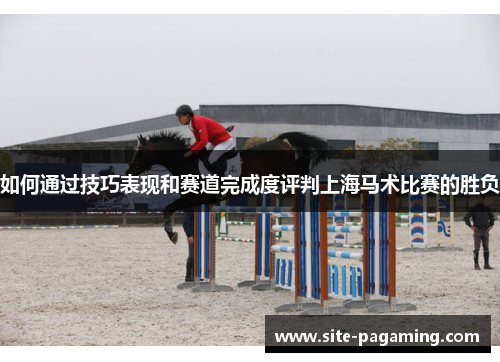 如何通过技巧表现和赛道完成度评判上海马术比赛的胜负 如何通过技巧表现和赛道完成度评判上海马术比赛的胜负