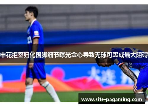 申花拒签归化国脚细节曝光贪心导致无球可踢成最大阻碍