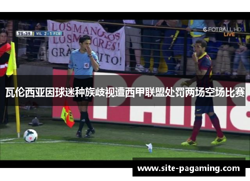 瓦伦西亚因球迷种族歧视遭西甲联盟处罚两场空场比赛 瓦伦西亚因球迷种族歧视遭西甲联盟处罚两场空场比赛